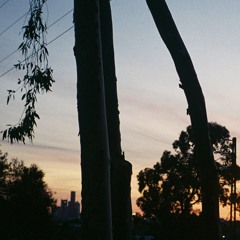 Ambient Exploration 15: Merri Sunsets