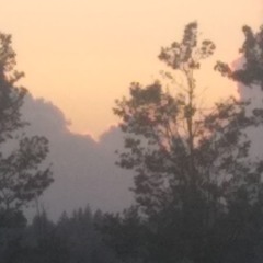 High Horse (Come On Down)