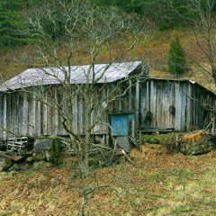 Where Is My Shack
