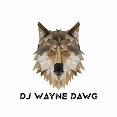 Lil Wayne -Mona Lisa [DJ Wayne Dawg Remix 2023]