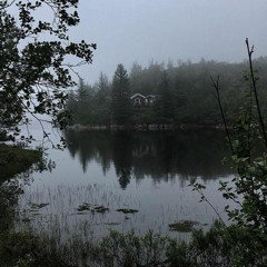 psychosis - гидро