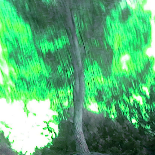 M̷̫̌Øł-M̷̫̌ɆM̷̫̌Ɇ 『₳Ɽ₵ⱧłVɆ 2024』