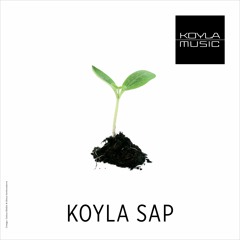 Koyla Sap Original Mix