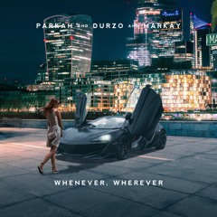 Shakira - Whenever Wherever (Remix)