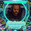 Mushroom Valley closing Main Stage friday night DJ mix artwork - Electronic music tracklist cover image