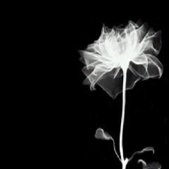 To.My Ex   w/YUNGSIMI/Baby Yves (prod.beatsbyballoo)