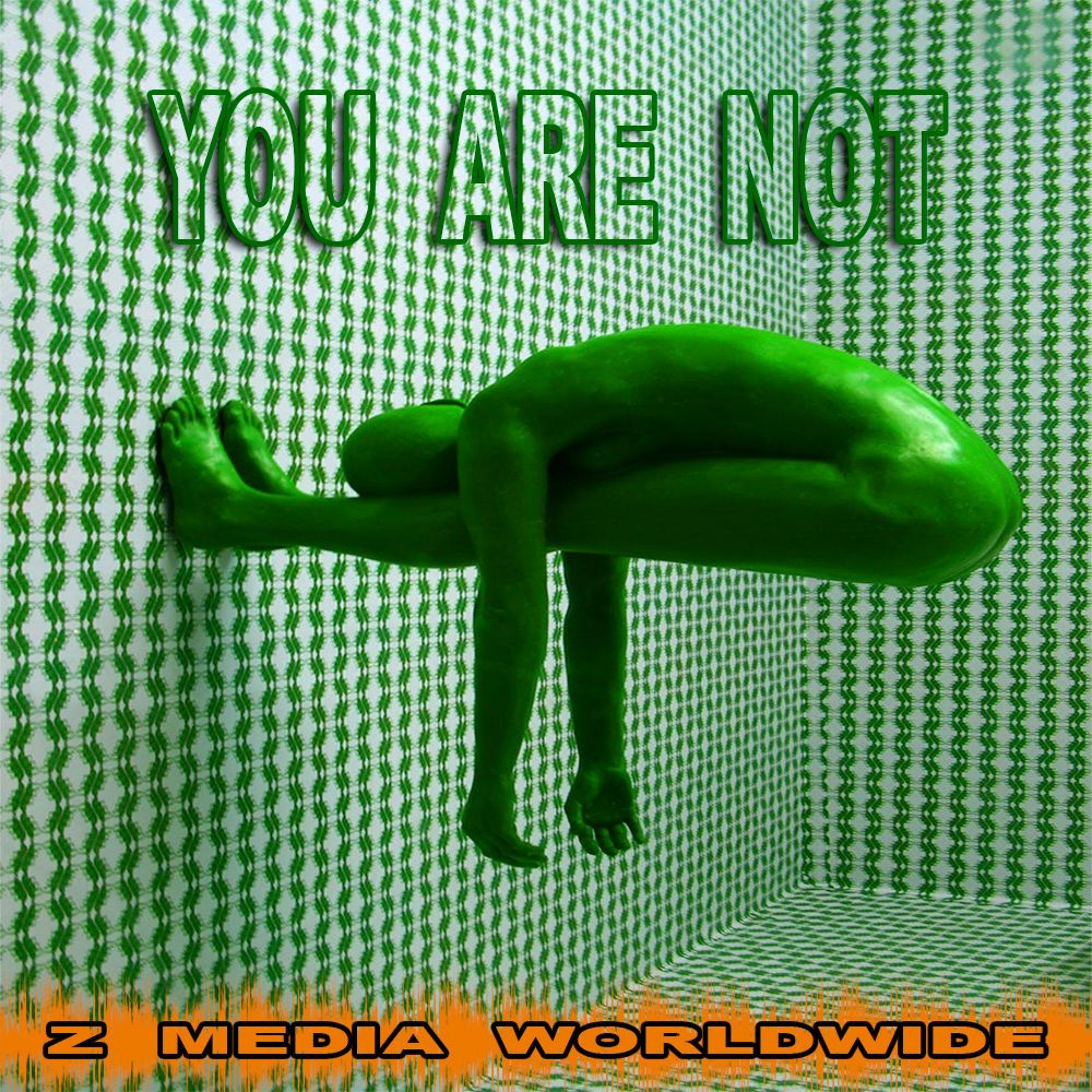 You Are Not episode artwork