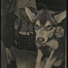 BANALpremix.mp3 ak SHINE