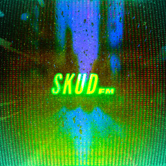 SKUD FM 1O - never too late