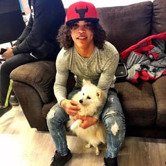 lui s. chickens // jerk reflip