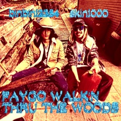 FAYGO WALK'N THRU THE WOODS ft. binbin12354