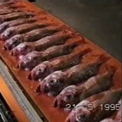 Fish Rot From the Head v7_Aug25