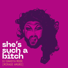 She's Such A Bitch [DJ Dakota Mode REMIX] [MIRAGE AMURO]