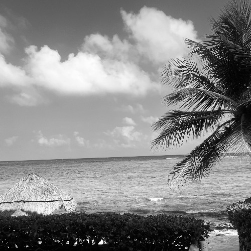 A Day on the Beach