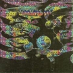 PERCEPTION SECTION