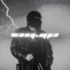 TIMELESS X MENACE (FULL VERSION + SLOWED + REVERB + BASS BOOST)
