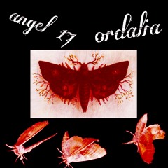 decimoséptimo ángel -(demo)