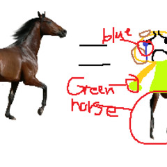 The horse look alike