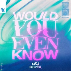 Audien & William Black (ft. Tia Tia) - Would You Even Know (NSJ Remix)