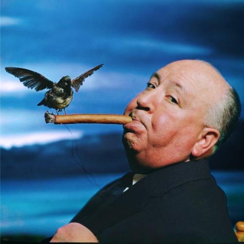 Fathidy — Le chant des oiseaux (prod. Trulife)