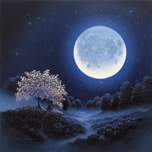 Talking To The Moon