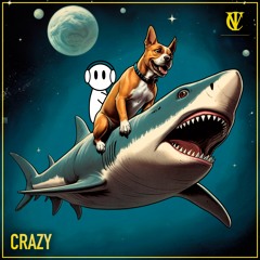 Lost Frequencies & Zonderling - Crazy (VIC Remix)(Instrumental)