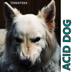 ACID DOG