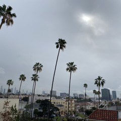 Never - DJ Doc Martin