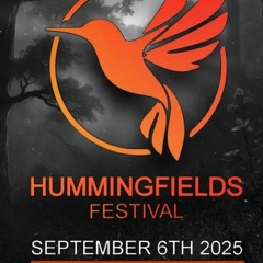 TheGameMaster - Hummingfields Festival dj contest 2025
