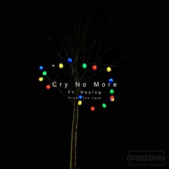Cry No More Ft. Heylog [Prod. Too Late]