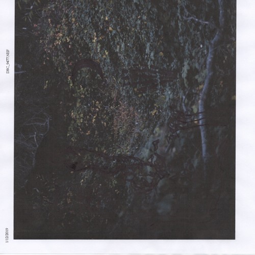 Ewen Vanni - Frozen Swimming Pool (ft. Ghost Mountain)