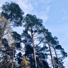 My babe - Little Walter (cover)