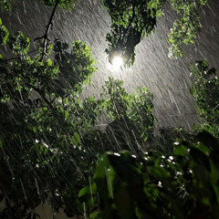 Season (ProdNeverLucky)