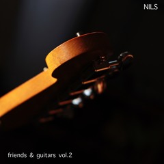 NILS - FRIENDS & GUITARS - VOL2(2015)
