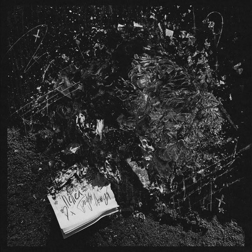 Три дня дождя - фелида