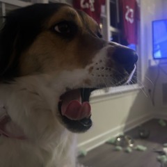 benny the butcher prod bullseye