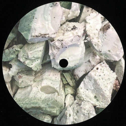 Premiere : Camelia - Multiverse (HZN003)