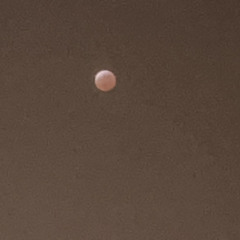 bludMoon Bp 132 A maj
