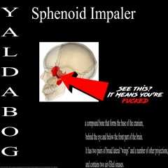 Sphenoid Impaler