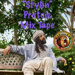 Stylin' Protoje Mixtape