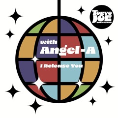 DC Promo Tracks: Tokyo Joe Orchestra "I Release You" (Instrumental Mix)