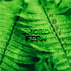 Sword Fern