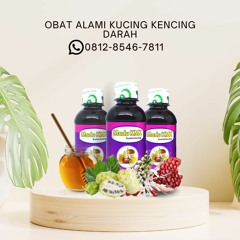 Obat Alami Kucing Kencing Darah Madu KMK (0812-8546-7811)