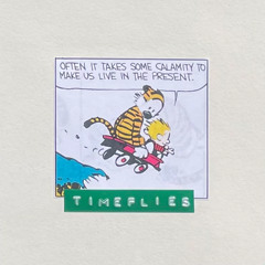 timeflies