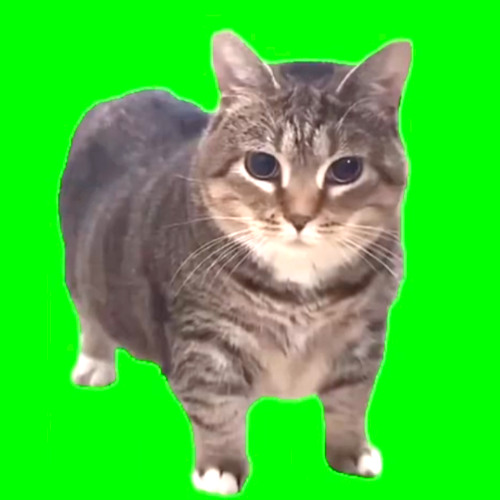 UII AI O UU II AI