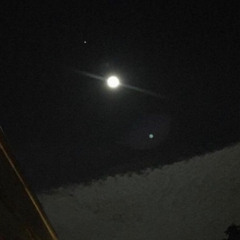 { وَلا تَحْزَنْ عَلَيْهِمْ }