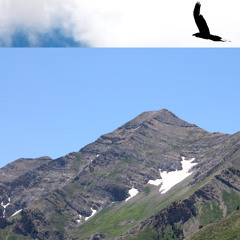 Above Alpine