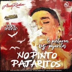 No Pinto Pajaritos Vs Te Pintaron Pajaritos - Andy Rivera - Hype By Fabian Parrado DJ - 96 Bpm