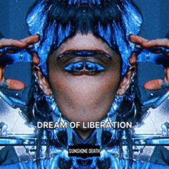 Dream Of Liberation