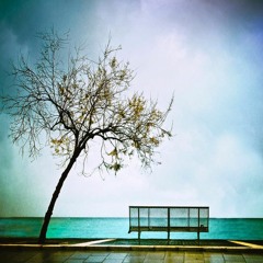 Empty Bench